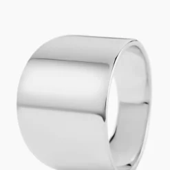 Sale Histoire d'Or Bague Ascension Argent Blanc