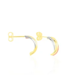 Online Histoire d'Or Créoles Igora Or Tricolore