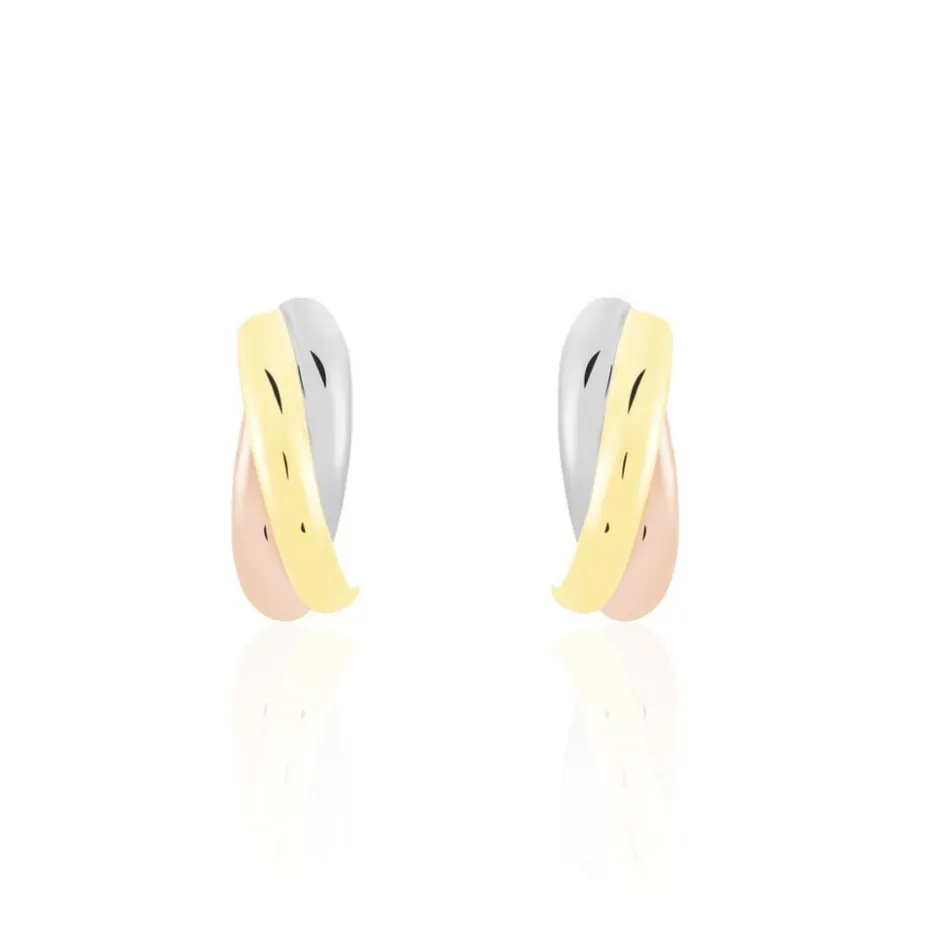 Online Histoire d'Or Créoles Igora Or Tricolore