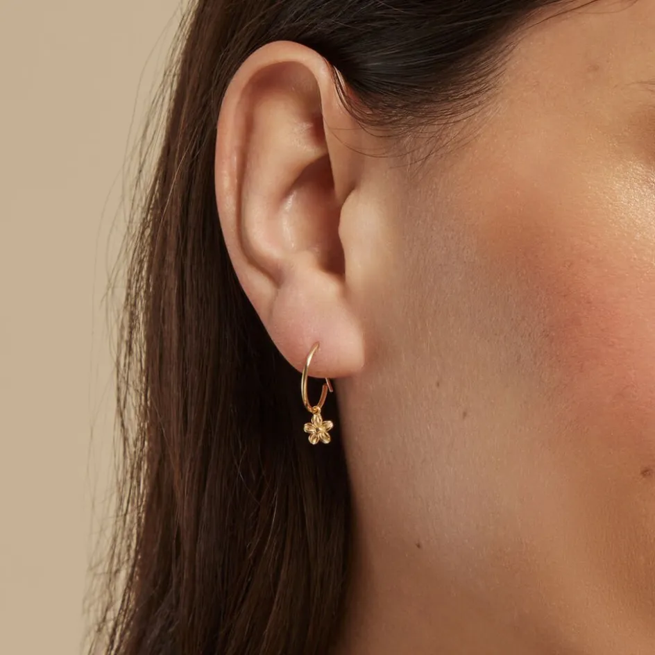 Best Histoire d'Or Créoles Rorie Or Jaune