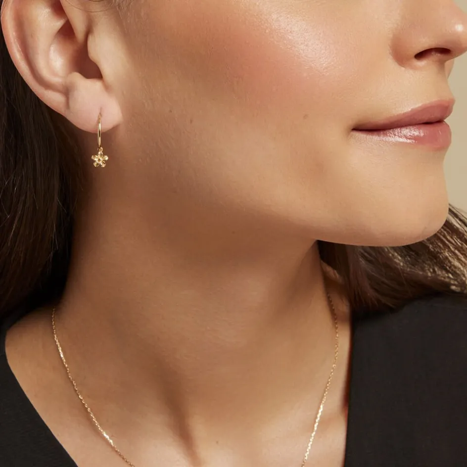 Best Histoire d'Or Créoles Rorie Or Jaune