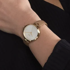 Hot HUGO BOSS Montre Boss Majesty Argenté