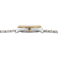 CLUSE Montre Feroce Mini Argenté* Montres Tendances