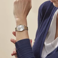 Hot CLUSE Montre Feroce Petite Argenté cadran argenté fond argenté bracelet acier bicolore