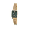 Outlet U.S. POLO Montre Assn. Vert