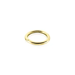 Histoire d'Or Piercing D'oreille Aloes* Piercings|Autres Bijoux